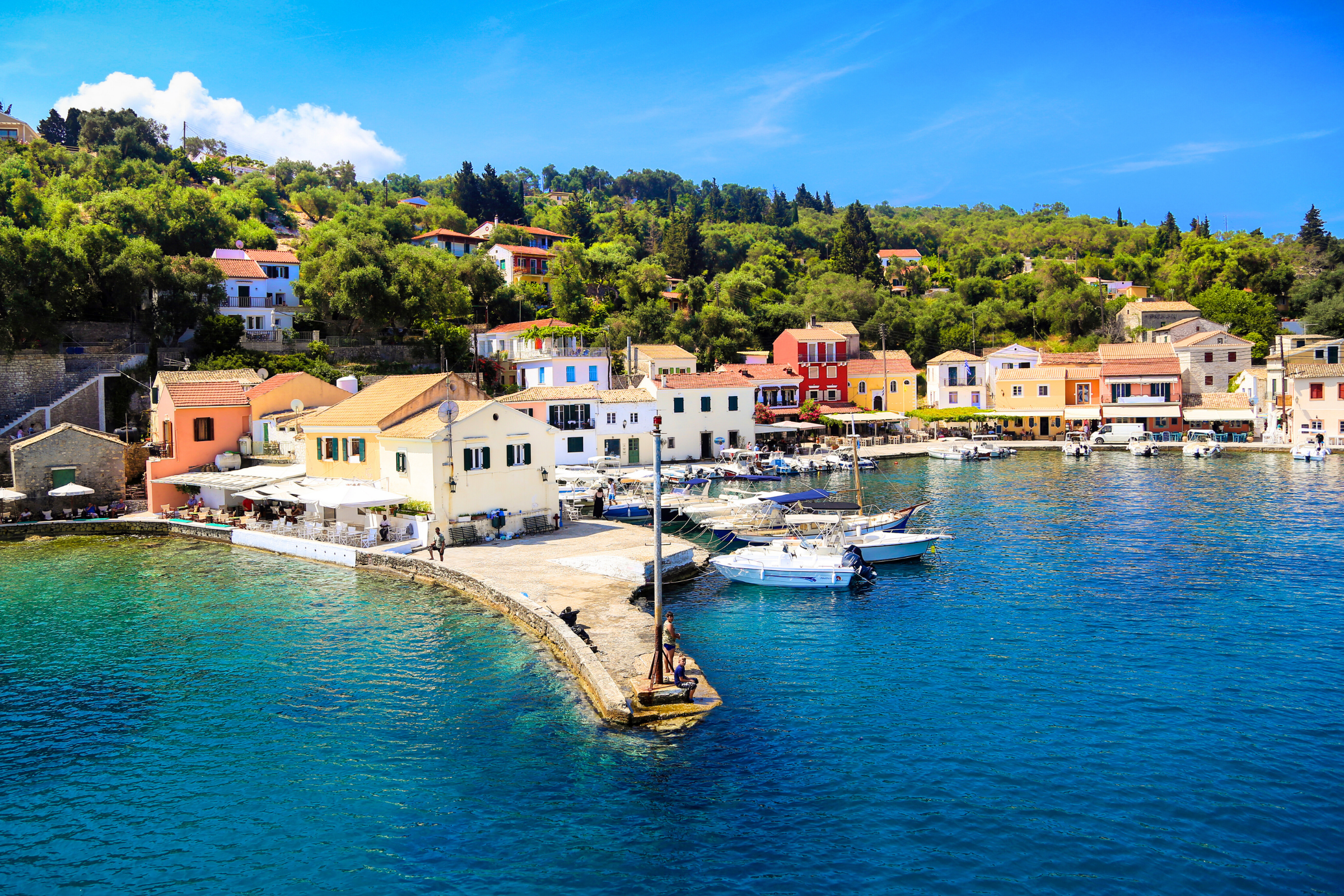 97 paxos.webp